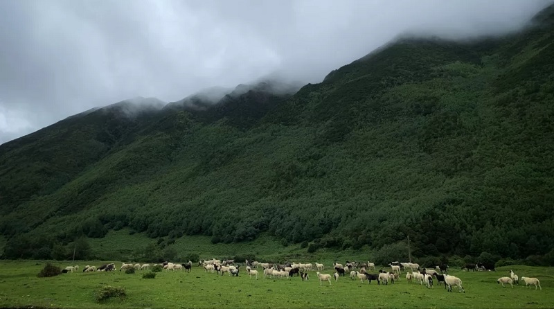 如何選擇適合自己的研學(xué)旅行及選擇研學(xué)機(jī)構(gòu)的標(biāo)準(zhǔn)是什么？