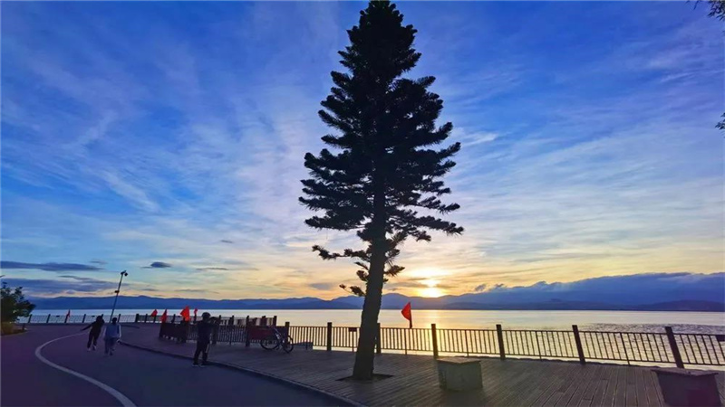 大理濃烈的夏日味道，都藏在洱海生態(tài)廊道