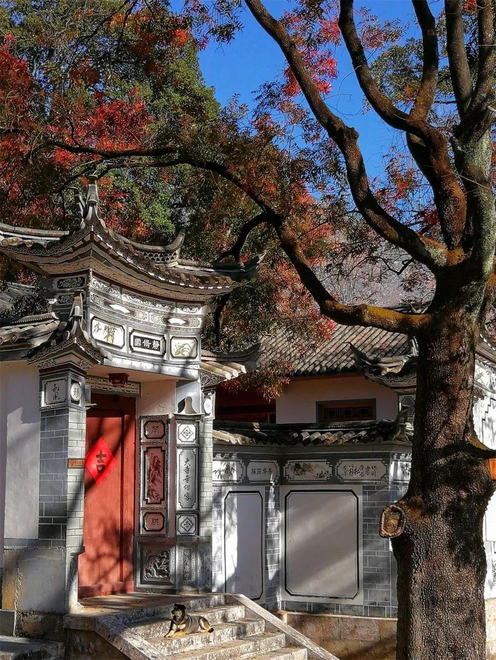 鶴陽寺